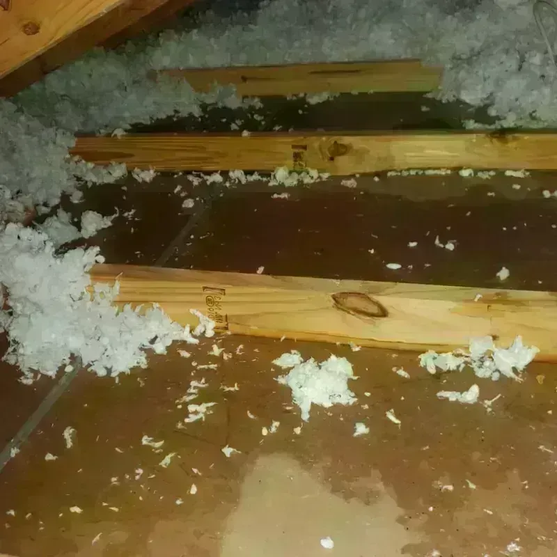 Attic Water Damage in Sierra Blanca, TX