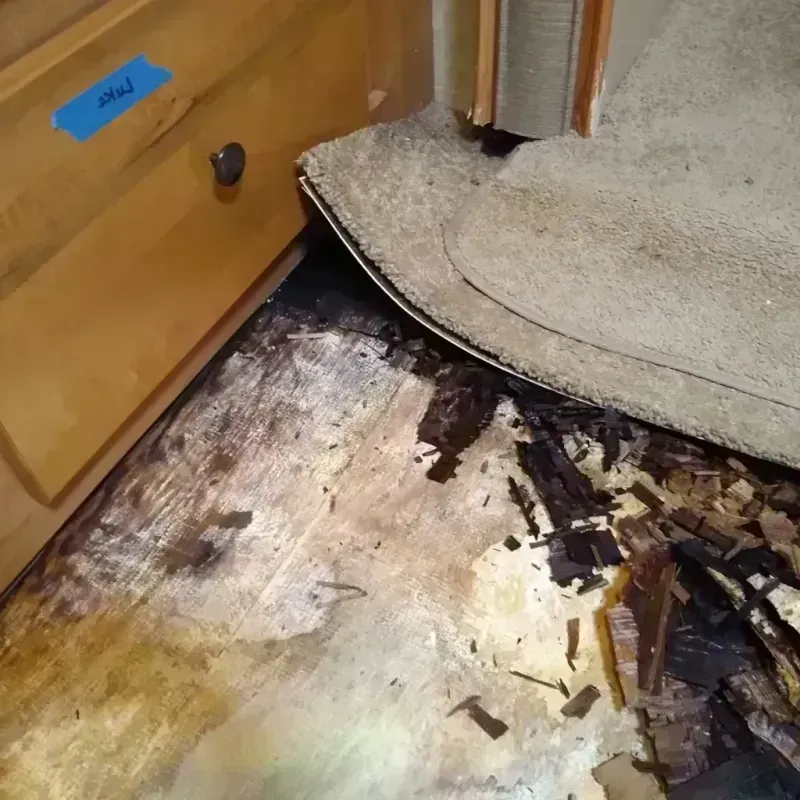 Best Wood Floor Water Damage Service in Sierra Blanca, TX